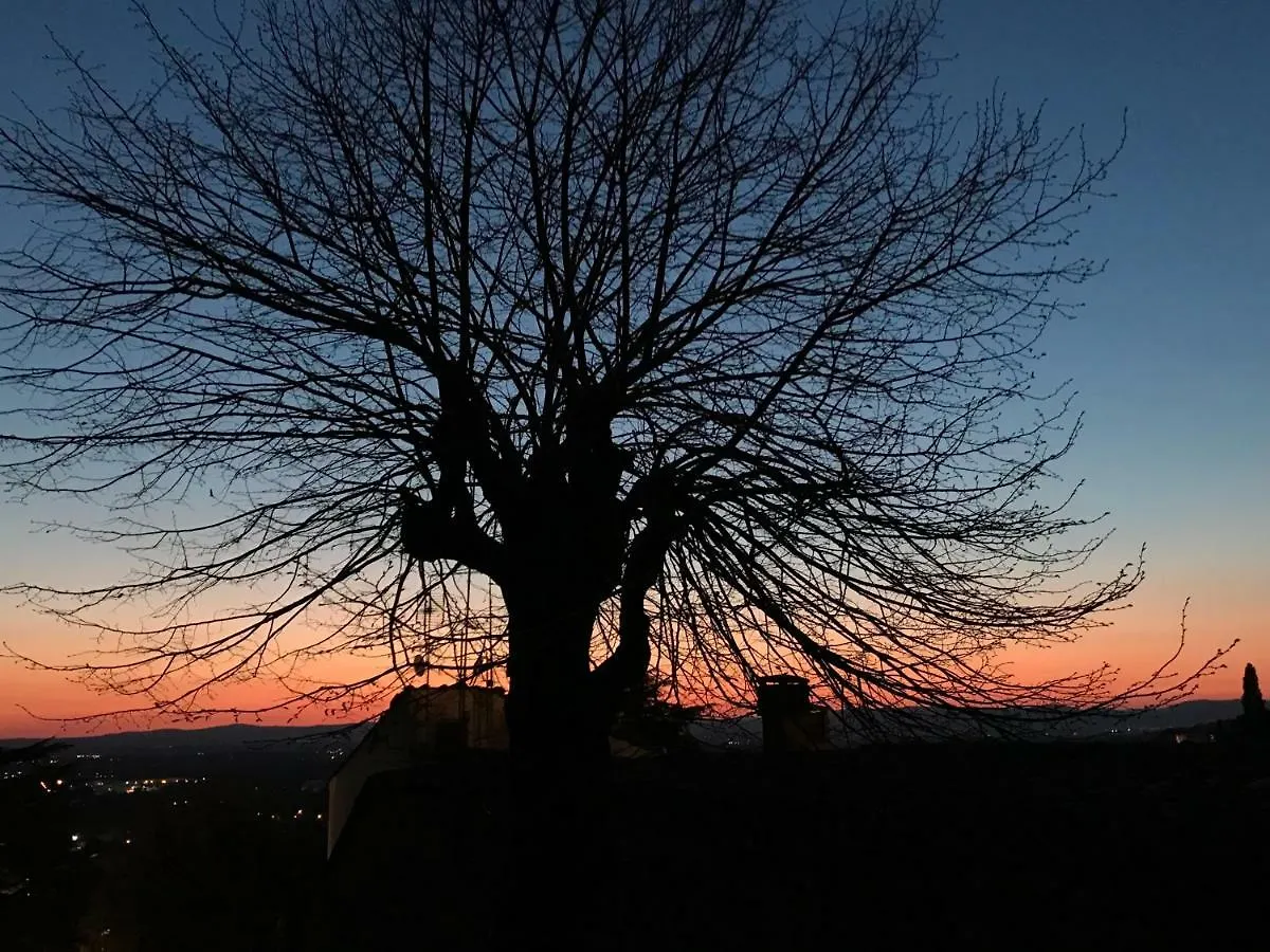 Camera E Appartamento Toscana - B&B Palazzo Robicci Castiglion Fiorentino Villa